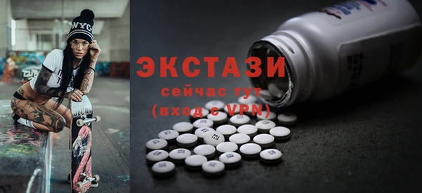 гашик Алексин