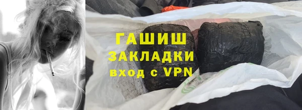 гашик Алексин