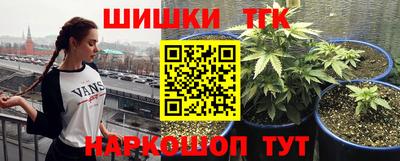 винт Партизанск