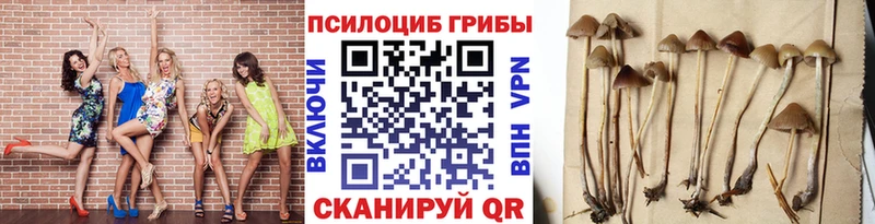 МЕГА рабочий сайт  Киреевск  Псилоцибиновые грибы GOLDEN TEACHER  где можно купить  